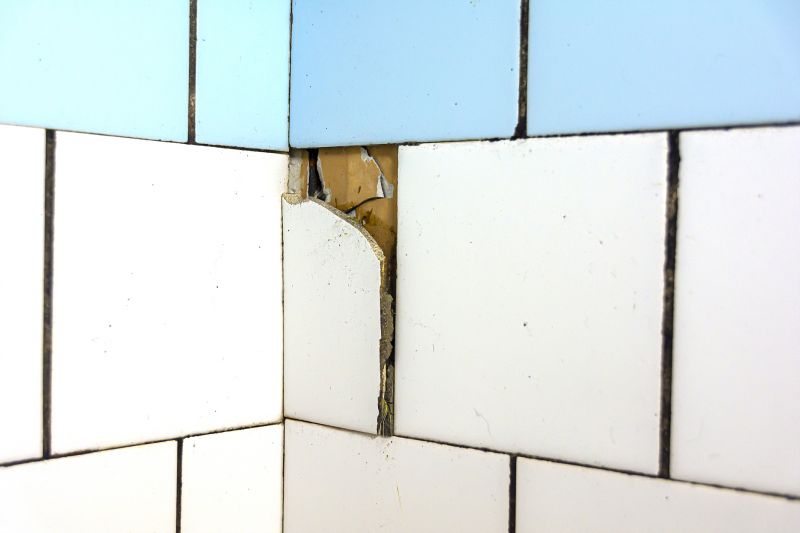 Tile Repair Work